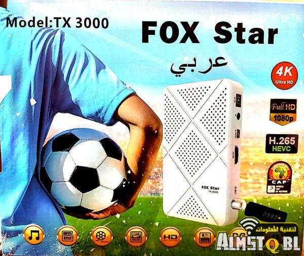 fox star.jpg