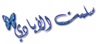 photo153.gif